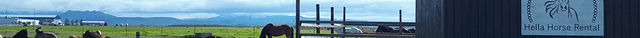 Hella Horse Rental
