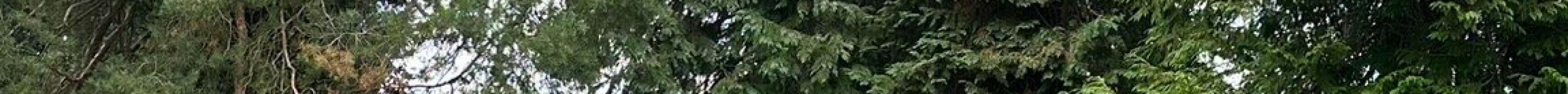 圣塞巴斯蒂安教堂