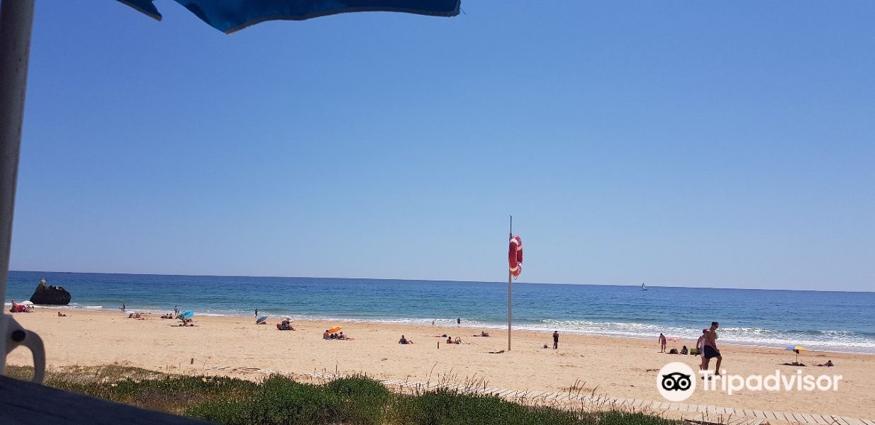 Praia de Alvor旅游景点图片