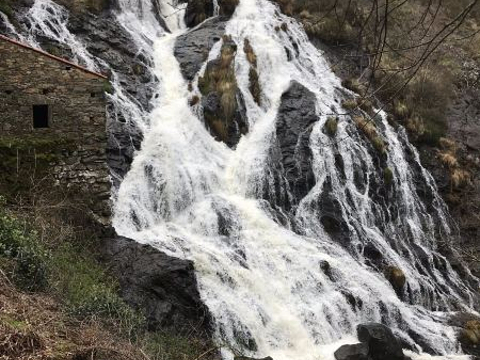 Fervenza de Brañas