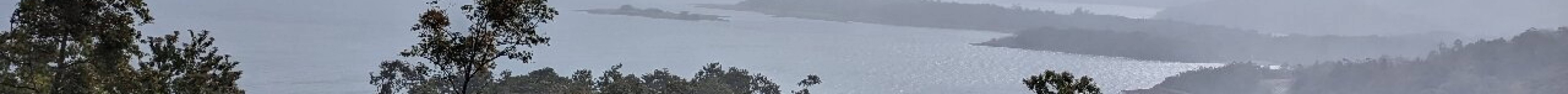 阿雷纳尔湖旅游景点图片