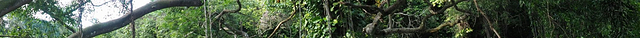 Jardines de Hershey