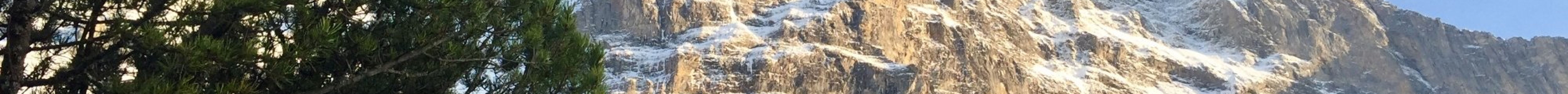 Alpiglen旅游景点图片