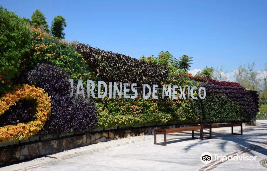 Jardines de Mexico旅游景点图片