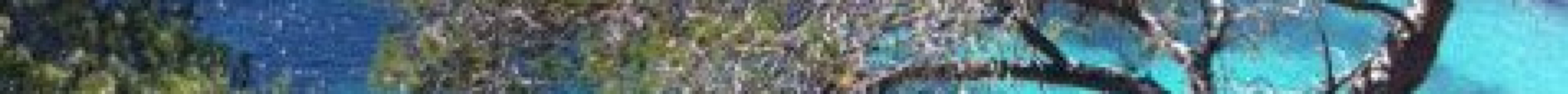 蔚蓝海岸国家公园旅游景点图片