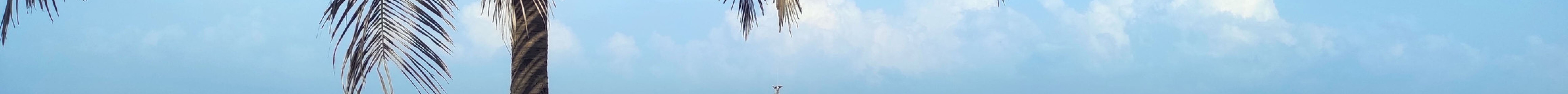 加勒菲斯绿地旅游景点图片