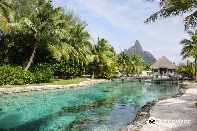 Bora Bora Turtle Centre