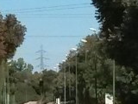 Parque del Alamillo