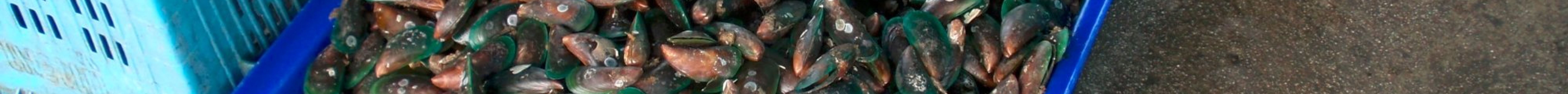 Phli Port Fishing Market