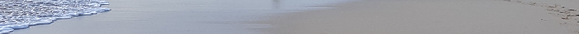 Rum Bus Beach