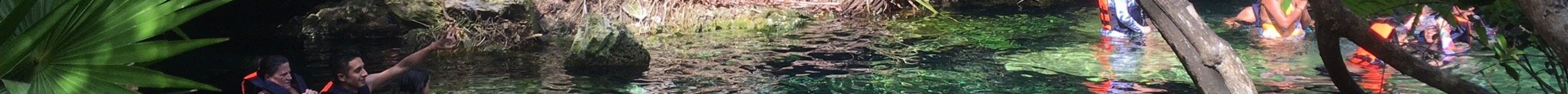 Cenote Cristalino旅游景点图片