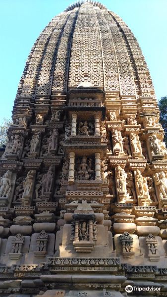 Adinath Temple旅游景点图片