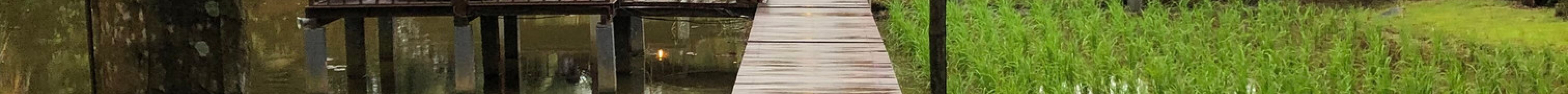 稻米博物馆旅游景点图片