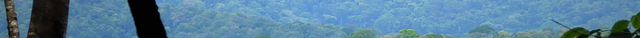 Gola Rainforest National Park