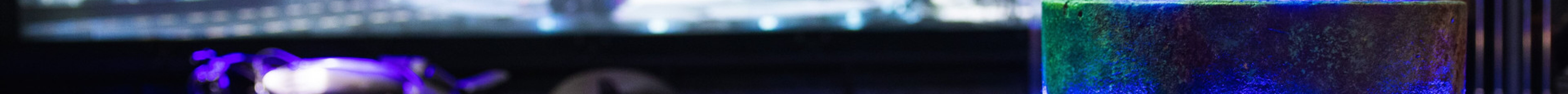 好莱坞华纳兄弟影城之旅