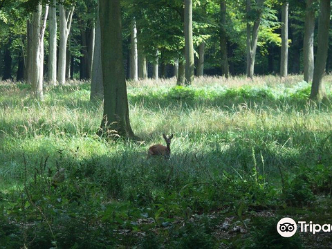 Parc Animalier de Roumare