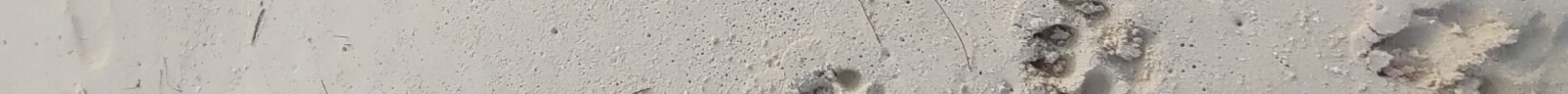 麦克海滩旅游景点图片