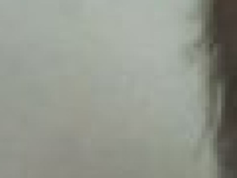 保和博物馆的图片