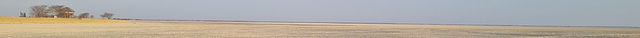 Makgadikgadi Salt Pan