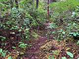 Anvil Trail