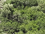 Lago Cedrino a Dorgali