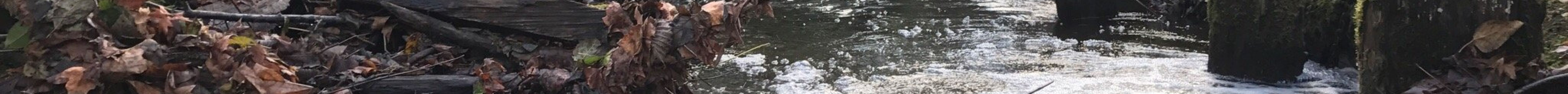 Des Moines Creek Trail