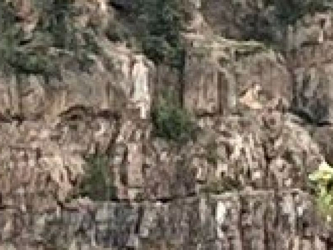 菲尔德旅游图片