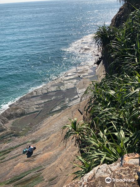 东平洲