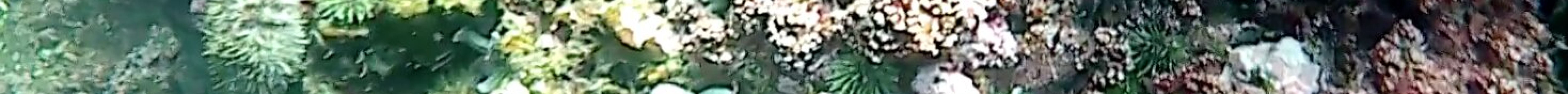 Club Nautique de Percé