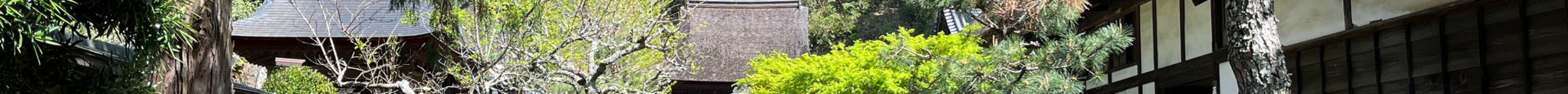 东庆寺旅游景点图片