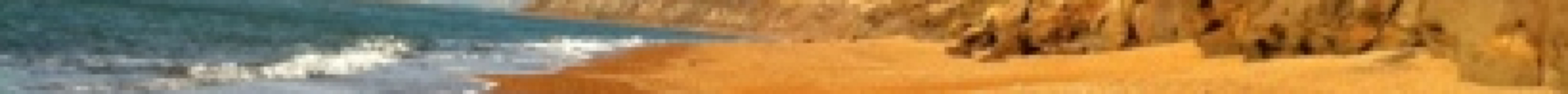 Isle of Wight Fossil Hunts - Island Gems