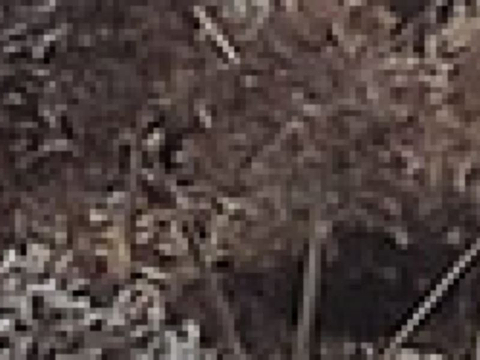 圣莫罗·托里尼塞旅游图片