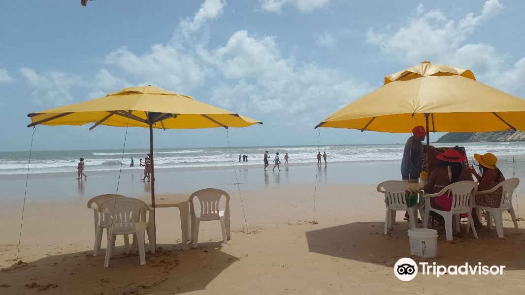 Morro do Careca beach旅游景点图片