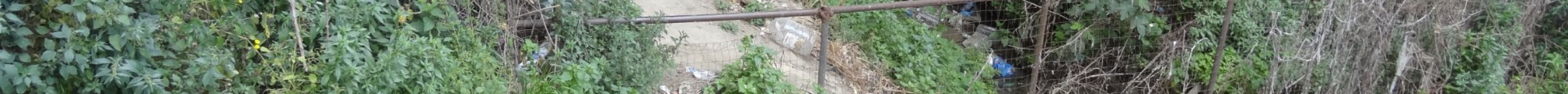 马克西姆下水道