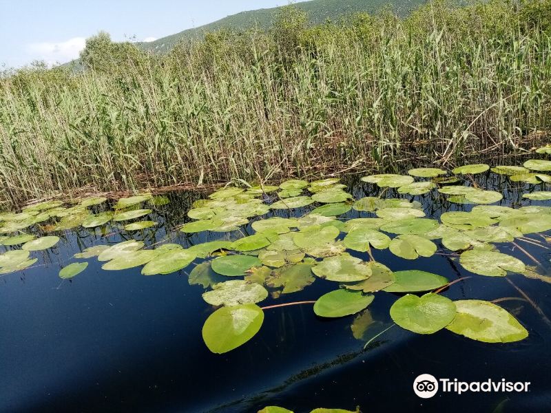 Nature Park Hutovo Blato旅游景点图片