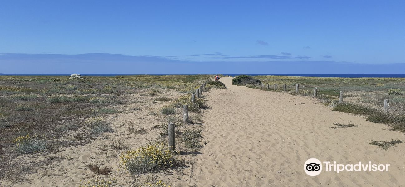 Plage de la Terrière旅游景点图片