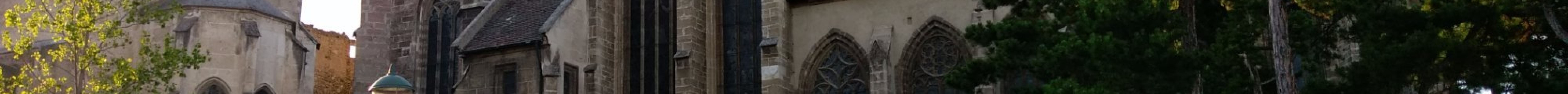 Burg Perchtoldsdorf旅游景点图片