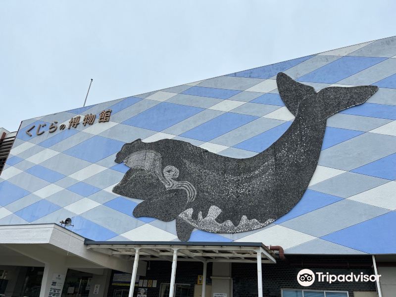 Taiji Whale Museum旅游景点图片