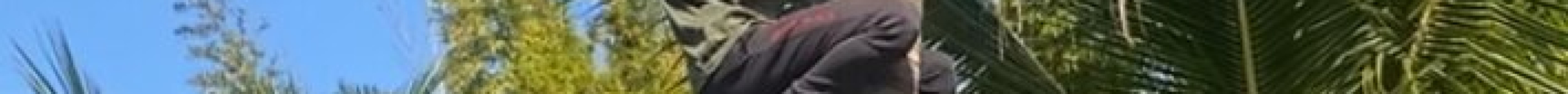 The House of Coco旅游景点图片