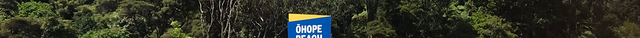 Ohope Beach
