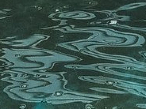 海龟孵化场