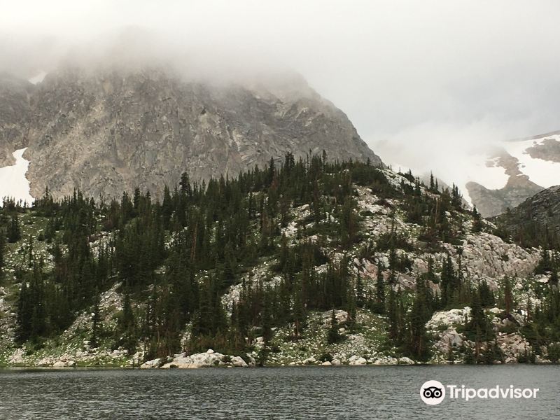 Medicine Bow National Forest旅游景点图片