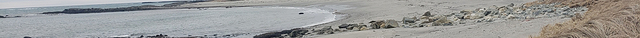 Tor Bay Provincial Park