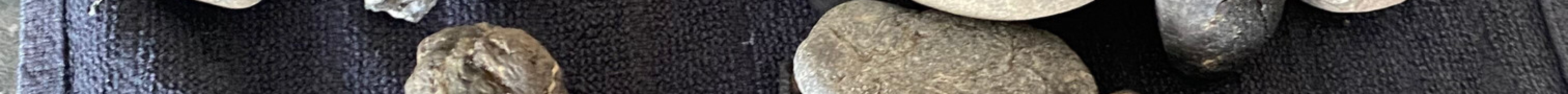 Isle of Wight Fossil Hunts - Island Gems