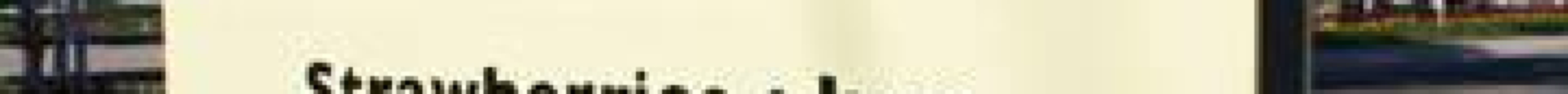 Pattys Berries and Bunches