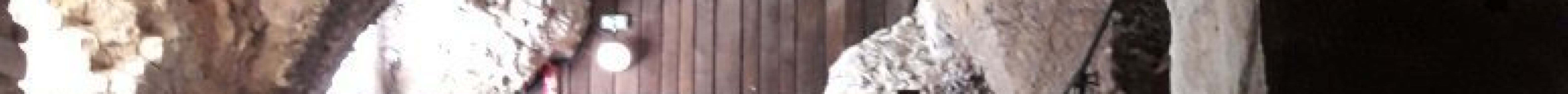 Le Cryptoportique Gallo-Romain旅游景点图片