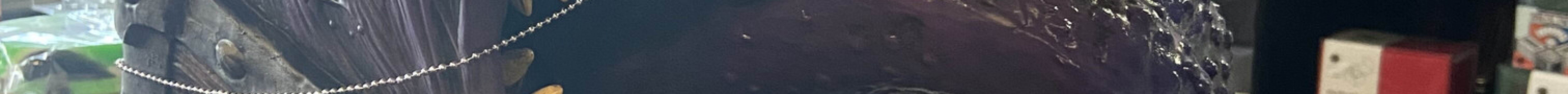 Bill And Ogres Games