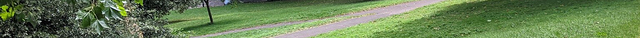Brandon Hill Nature Park