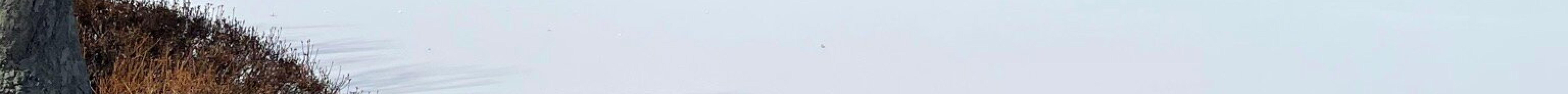 一山湖水公园旅游景点图片