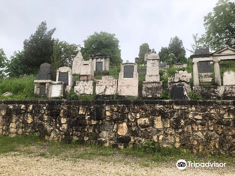 Old Jewish Cemetery (Antiguo cementerio judío)的图片